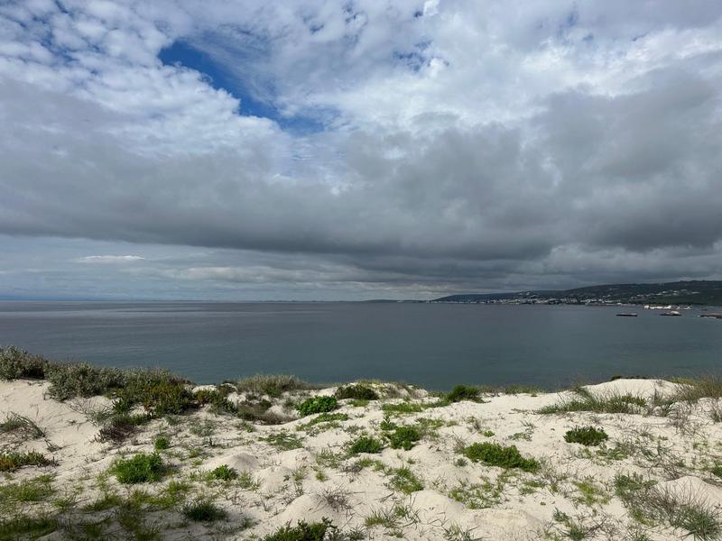 0 Bedroom Property for Sale in Shelley Point Western Cape